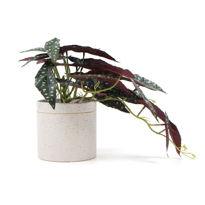 Artificial Bergonia Plant In Decorative Bowl 30cm