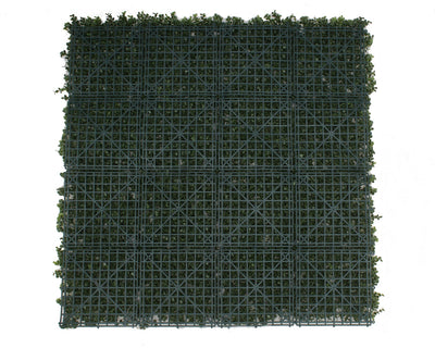 Premium Natural Buxus Hedge Panels UV Resistant 1m x 1m